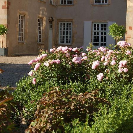 Chateau Du Riau Bed & Breakfast Villeneuve-sur-Allier Dış mekan fotoğraf