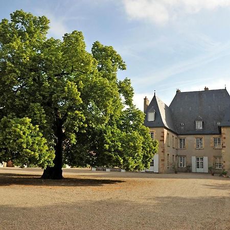 Chateau Du Riau Bed & Breakfast Villeneuve-sur-Allier Dış mekan fotoğraf