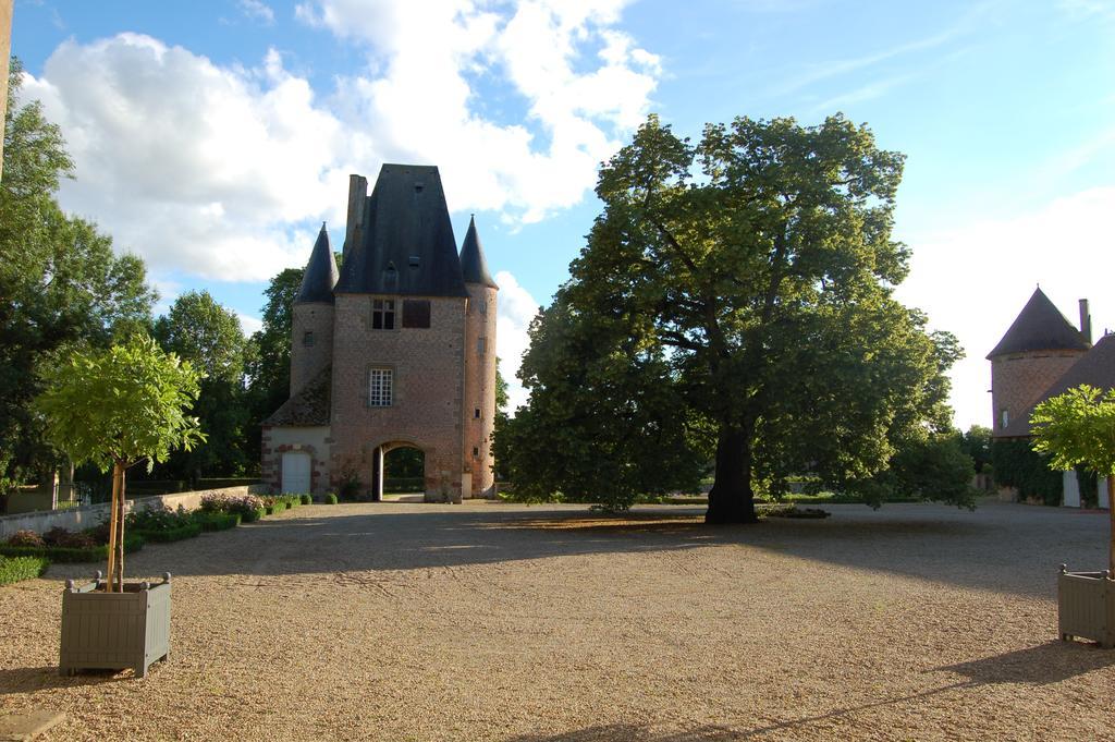 Chateau Du Riau Bed & Breakfast Villeneuve-sur-Allier Dış mekan fotoğraf