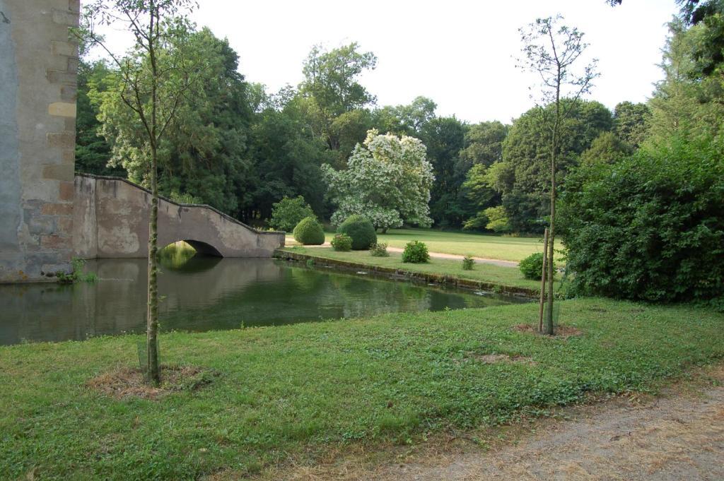 Chateau Du Riau Bed & Breakfast Villeneuve-sur-Allier Dış mekan fotoğraf