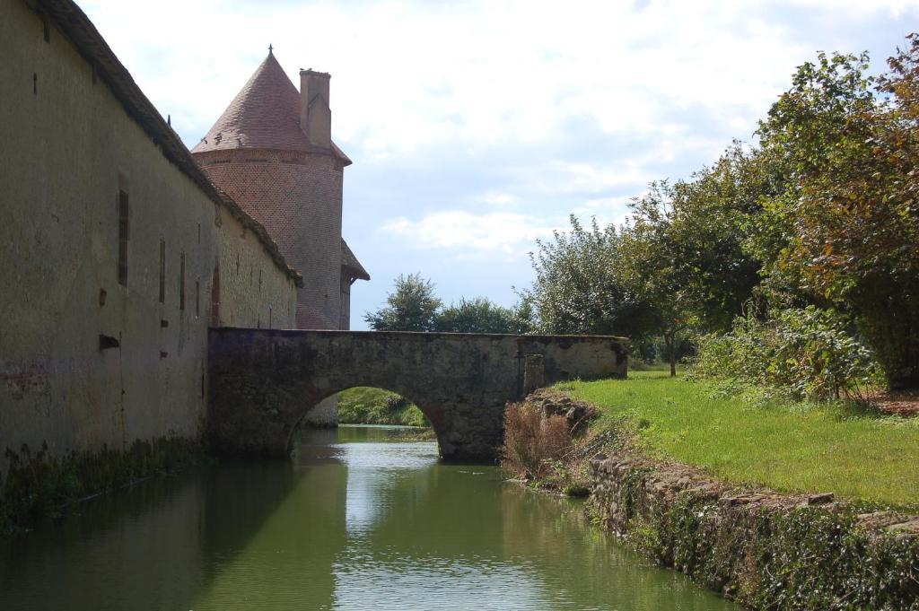 Chateau Du Riau Bed & Breakfast Villeneuve-sur-Allier Dış mekan fotoğraf