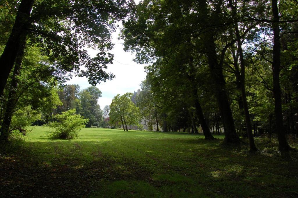 Chateau Du Riau Bed & Breakfast Villeneuve-sur-Allier Dış mekan fotoğraf