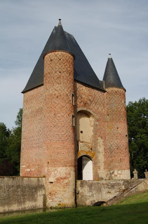 Chateau Du Riau Bed & Breakfast Villeneuve-sur-Allier Dış mekan fotoğraf